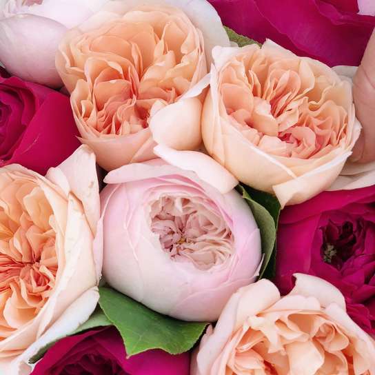 Микс из садовых роз №3