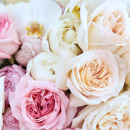 Шляпная коробка с орхидеями и садовыми розами