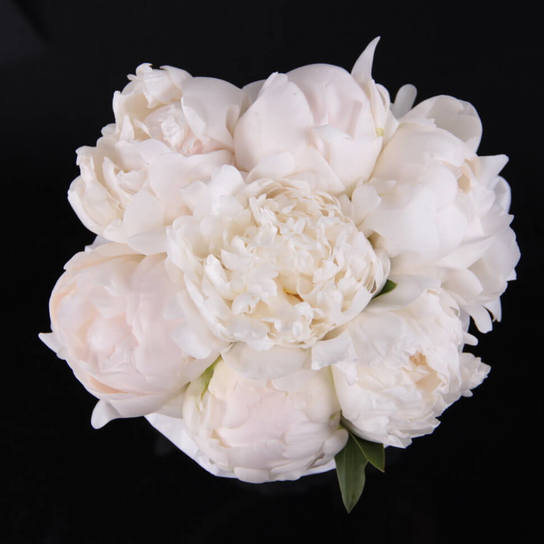 Шляпная коробка Demi "Madame Claude Tain" BLVCK