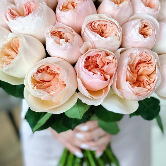 Букет из 51 пионовидной розы "Austin Juliet"