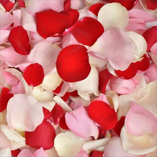 Лепестки роз "Красные/Белые/Розовые"