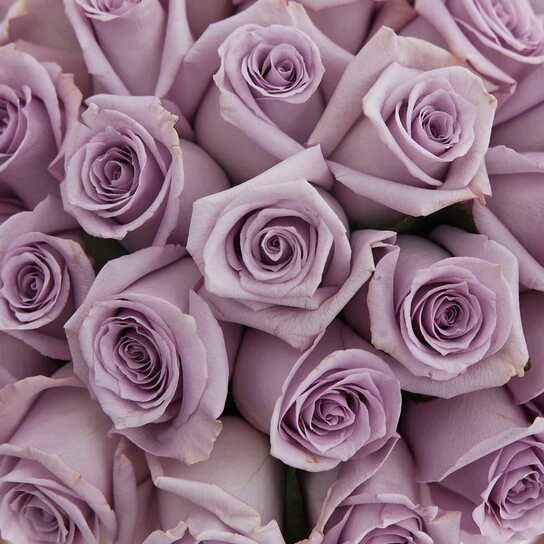 Шляпная коробка Grand "Розы Purple" WHITE