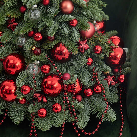 Новогодняя ель из нобилиса "Новый красный" Фото 3