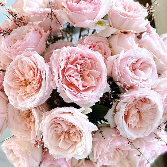 Букет из 35 японских селективных роз "Tsumugi" в вазе Фото 3