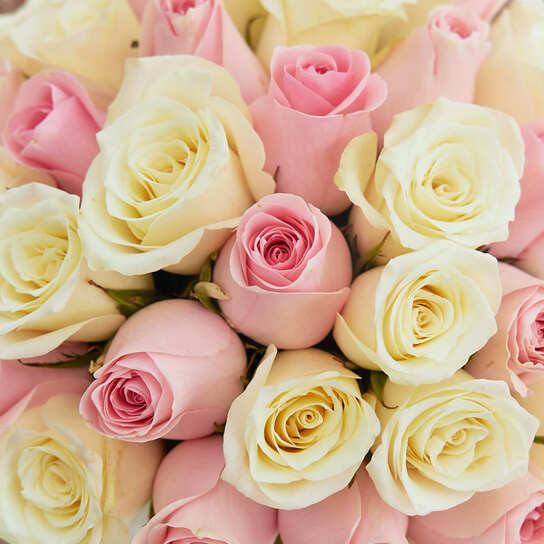 Шляпная коробка Petit "Микс роз" WHITE