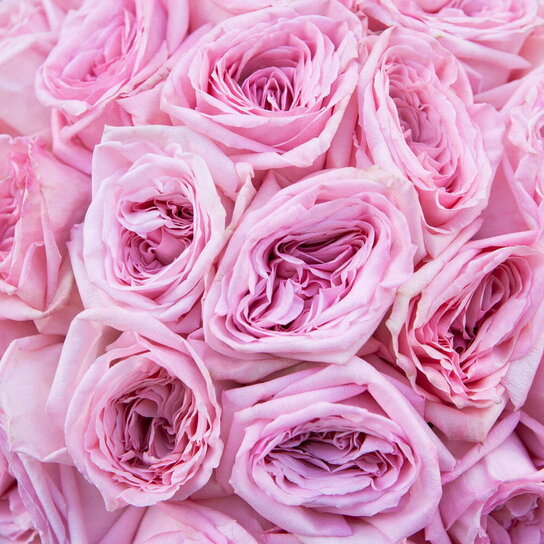 Шляпная коробка Grand "Розы Pink O'Hara" PINK Фото 4