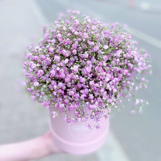 Букет Гипсофила в шляпной коробке Petit PINK Фото 2