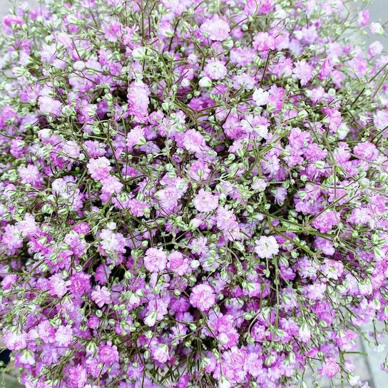 Букет Гипсофила в шляпной коробке Petit PINK Фото 3