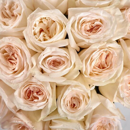 Шляпная коробка Grand "Розы White O'Hara" WHITE Фото 3